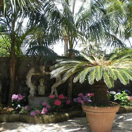 Dei D'armiento 4* Sant'Angelo (Isola d'Ischia)