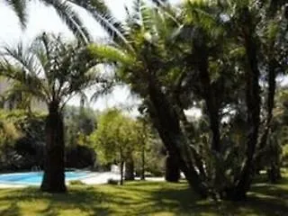 Dei D'armiento 4*